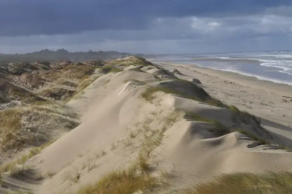 Oregon Dunes National Recreation Area Visitor Center