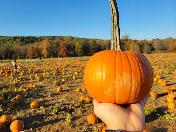 Ort Farms, Long Valley, NJ
