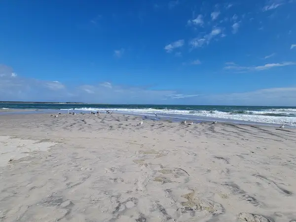 ORV Beach Access