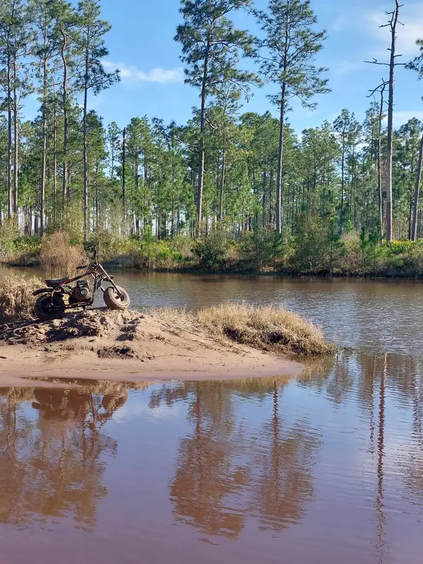 Osceola National Forest Dual Sport Trails