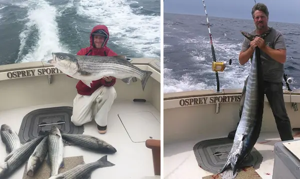 Osprey Sport Fishing Charters