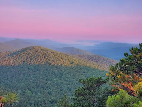 Ouachita National Forest ATV Trail