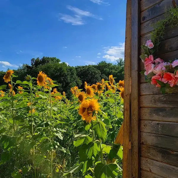 Our Family Legacy Farm, Montague, MA