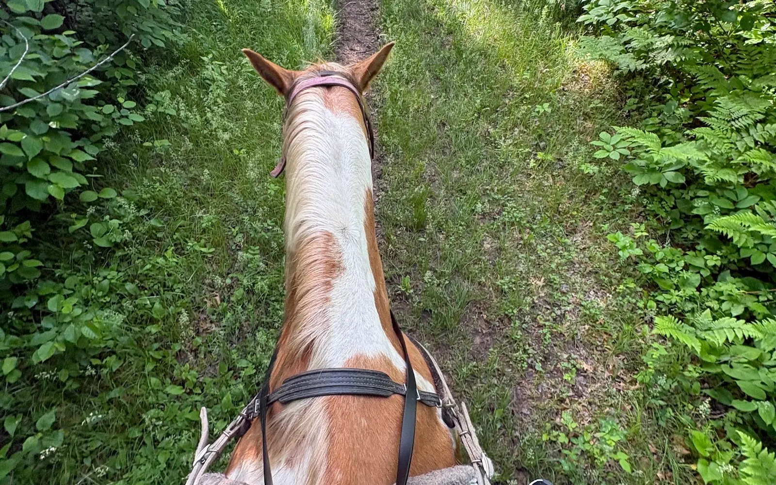 Outback Trail Ride