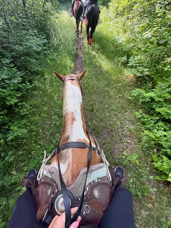 Outback Trail Ride, photo 4