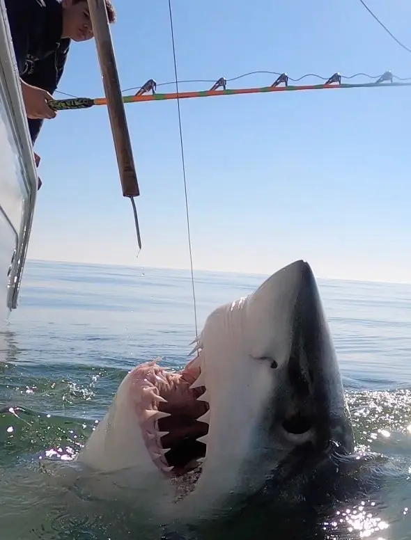 Outcast Sport Fishing, Hilton Head Island, SC