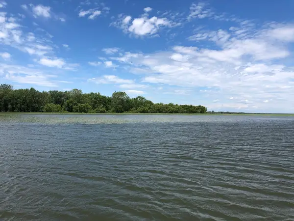 Outfitter Lac Saint-Pierre, photo 3