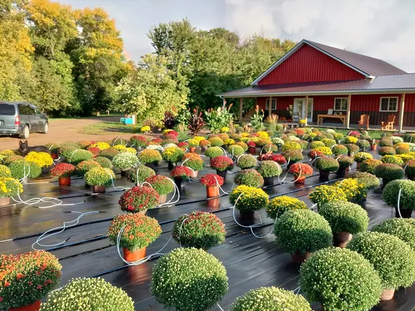 Oxbow Orchards, Grafton, ND