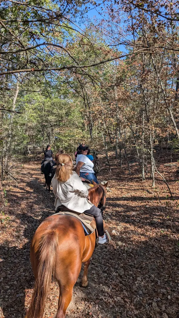 Ozark Mtn. Trail Rides, Branson, MO
