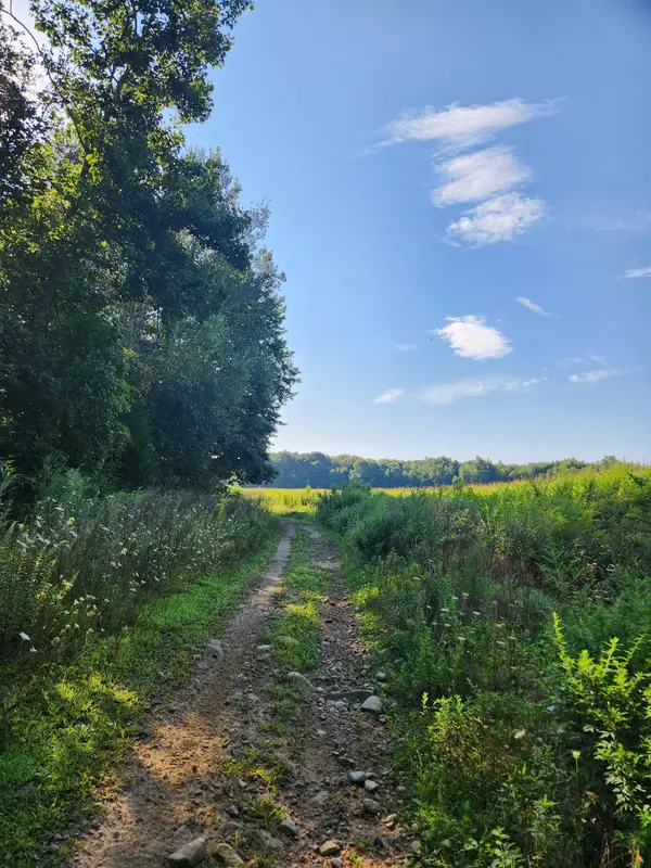 Pachaug Enduro Trail