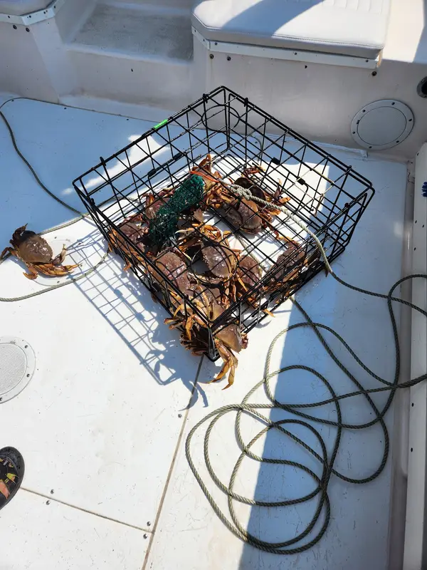 Pacific Angler Fishing Charters, photo 2