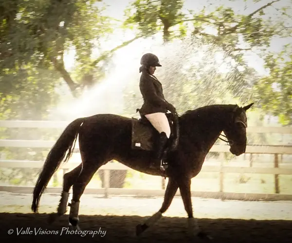 Pacific Equestrian Center, photo 2