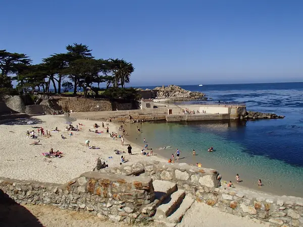 Pacific Grove Adventures, photo 1