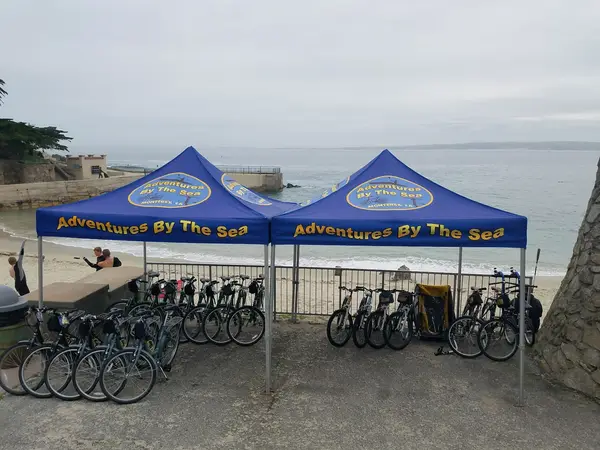 Pacific Grove Adventures, photo 3