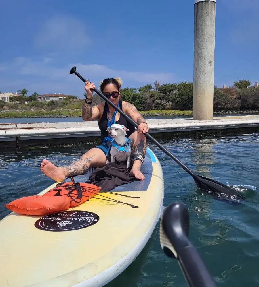 Paddle Board Rentals Long Beach