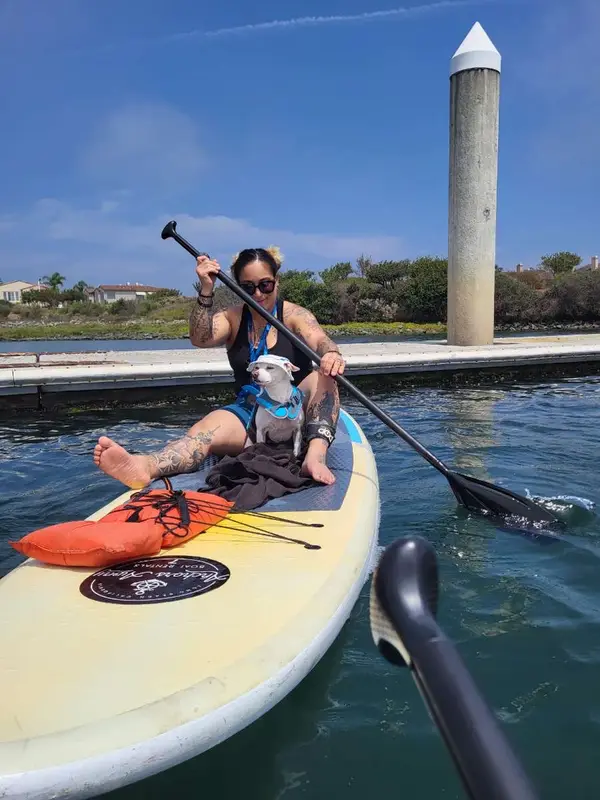 Paddle Board Rentals Long Beach