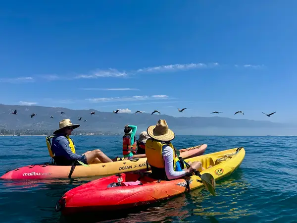 Paddle Sports Center, photo 1