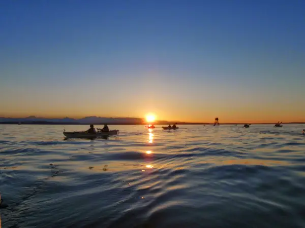 Alki Kayak Tours