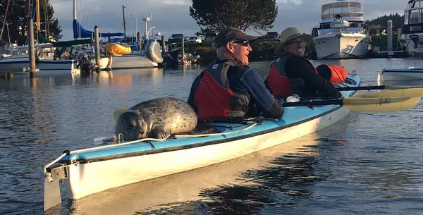 Anacortes Kayak Tours