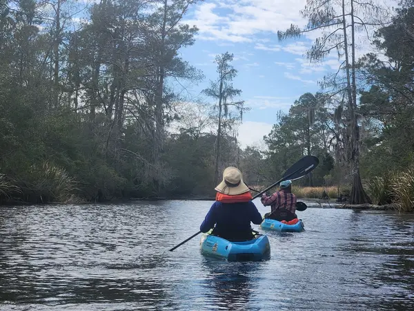 Bayou Adventure - Fountainebleau State Park