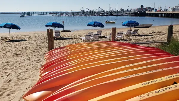 Coyote Kayaks