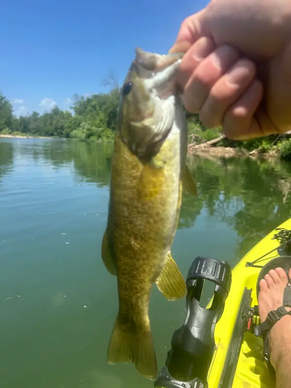 Crooked Creek Outfitters