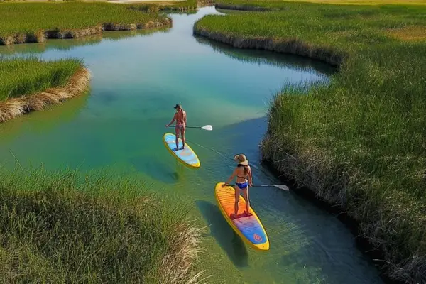 Delmarva Board Sports Watersports Concession