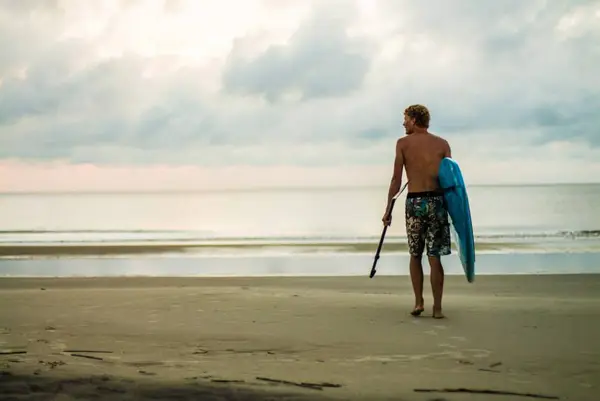 Forrest Paddle Boarding