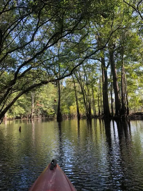Great Escapes Kayaking Tours