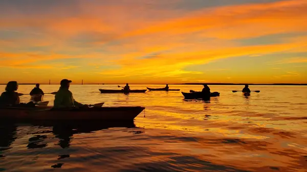 Great Turtle Kayak Tours