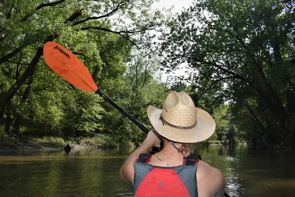 Kingfisher Kayaking