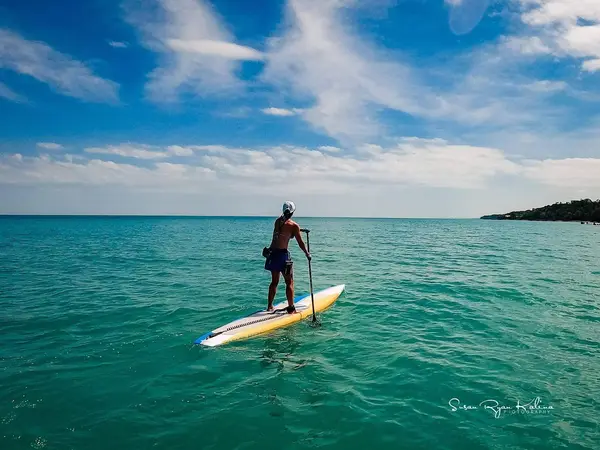 Lakeshore Paddle
