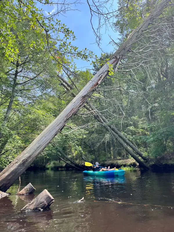 Micks Canoe and Kayak Rental