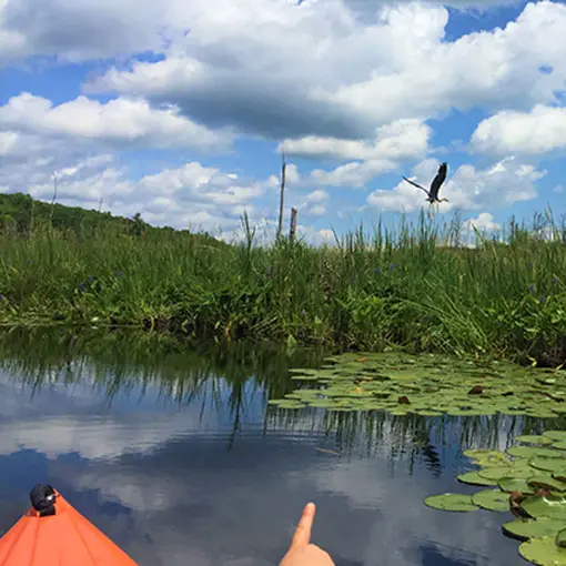 New Paltz Kayaking