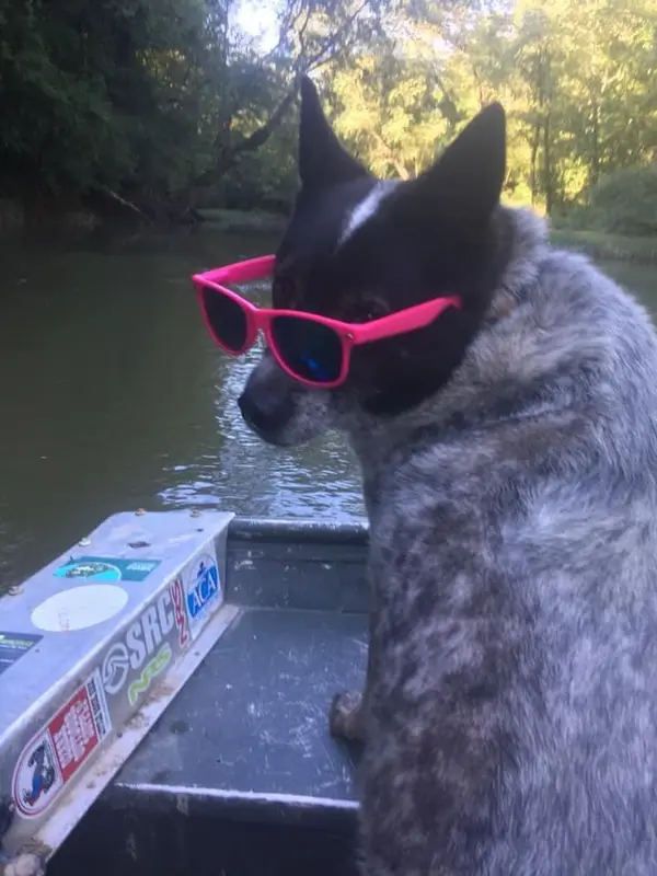 Saline River Canoe