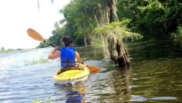 Swamp Explorers