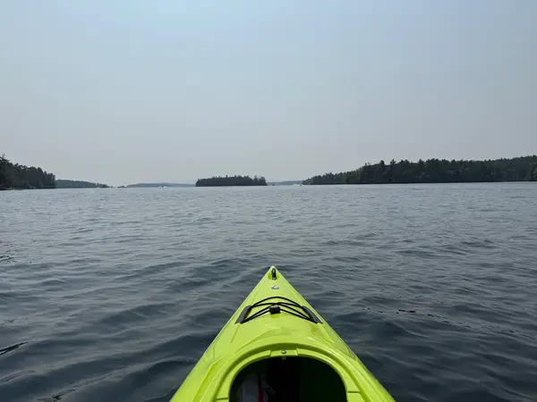Wild Meadow on Winnipesaukee