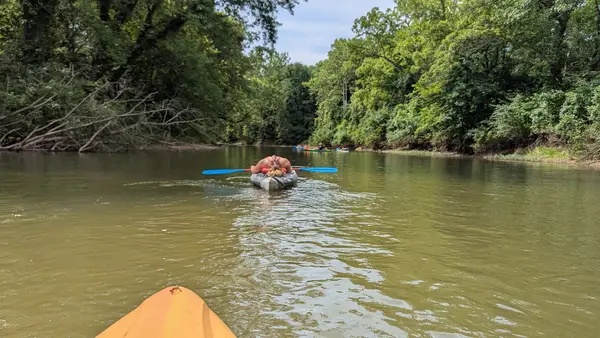 Wildcat Canoe & Kayak Too