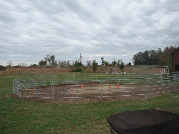 Painted Ponies Stables & Training Center llc