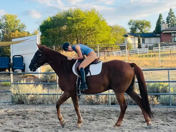 Pair of Aces Stables