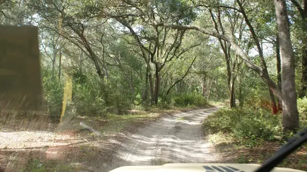 Paisley Woods Trail