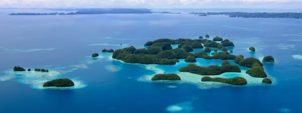 Palau LT Dive