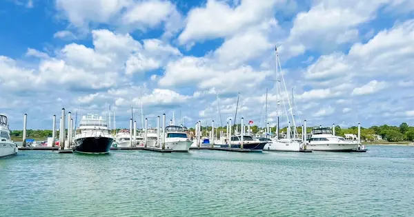 Palmetto Bay Marina