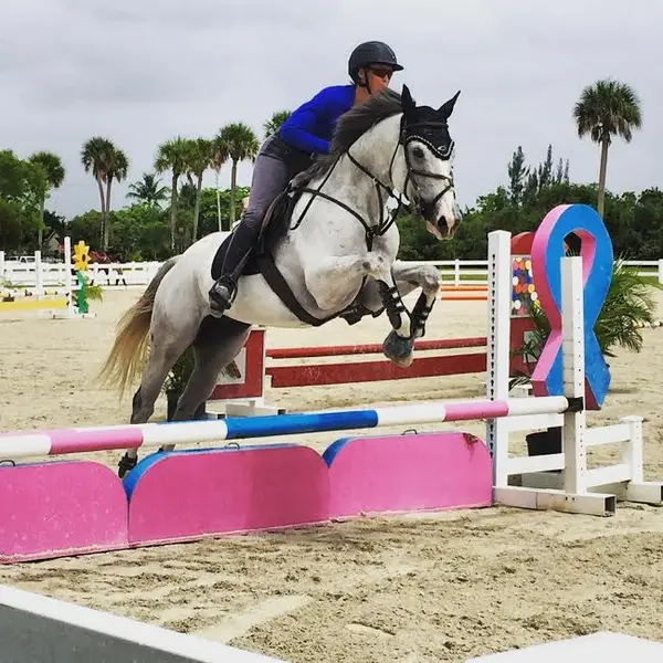 Palms Stables South
