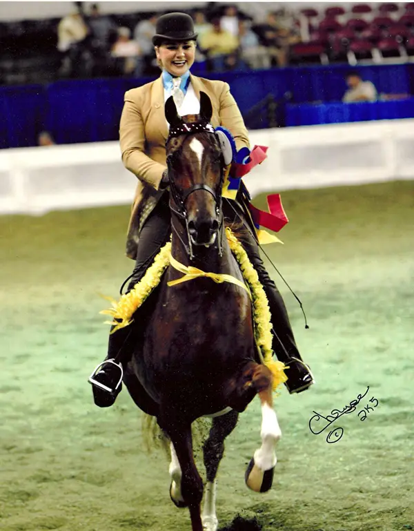 Palos Hills Riding Stables, Inc.