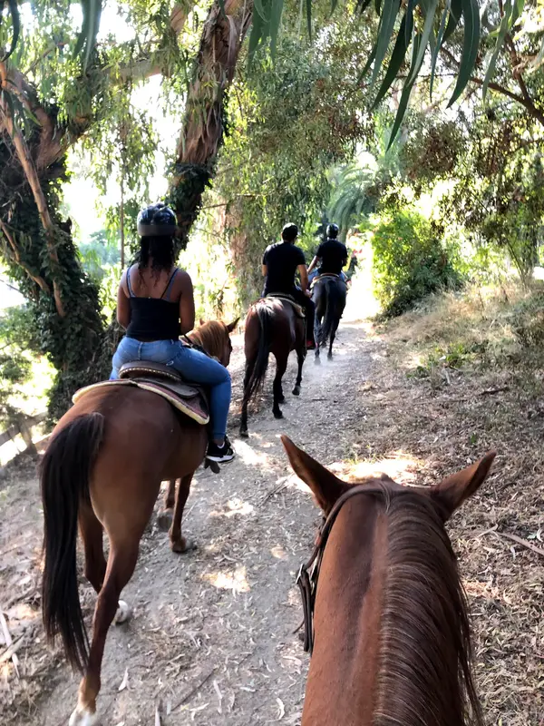 Palos Verdes Stables