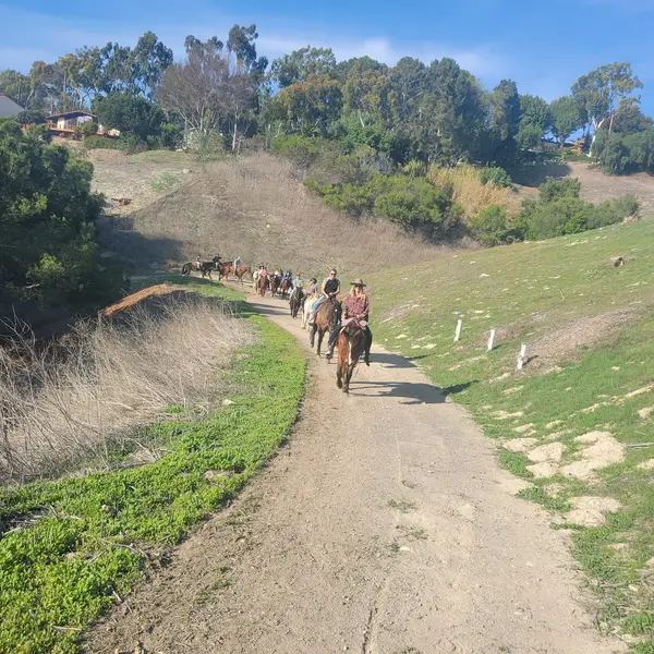 Palos Verdes Stables, photo 3
