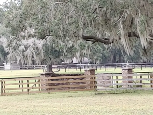 Pam Lynn Paloose Ranch, photo 3