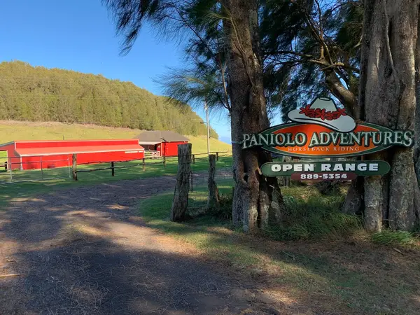 Paniolo Adventures