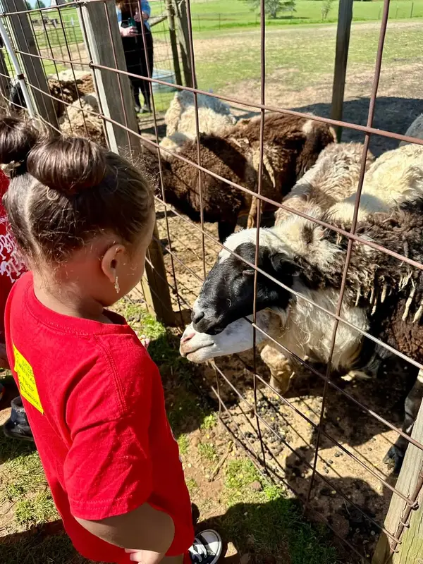 PaPa Simpson's Farm, Arcadia, LA